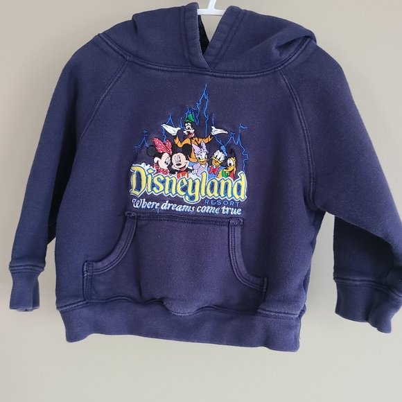 Navy Disneyland pullover hoodie with embroidered Disney characters on front